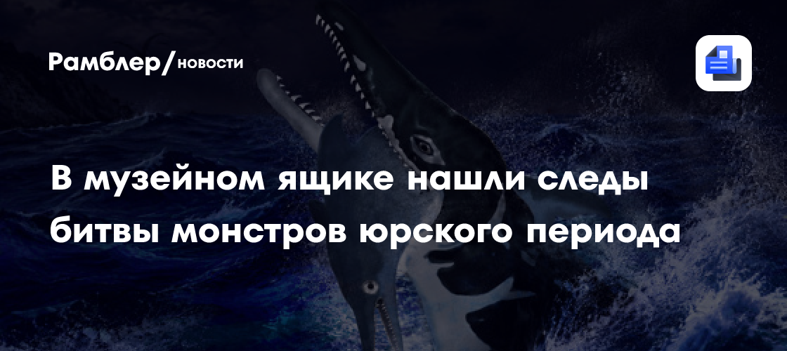 В музейном ящике нашли следы битвы монстров юрского периода