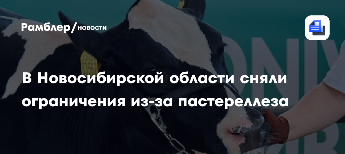 В Новосибирской области сняли ограничения из-за пастереллеза