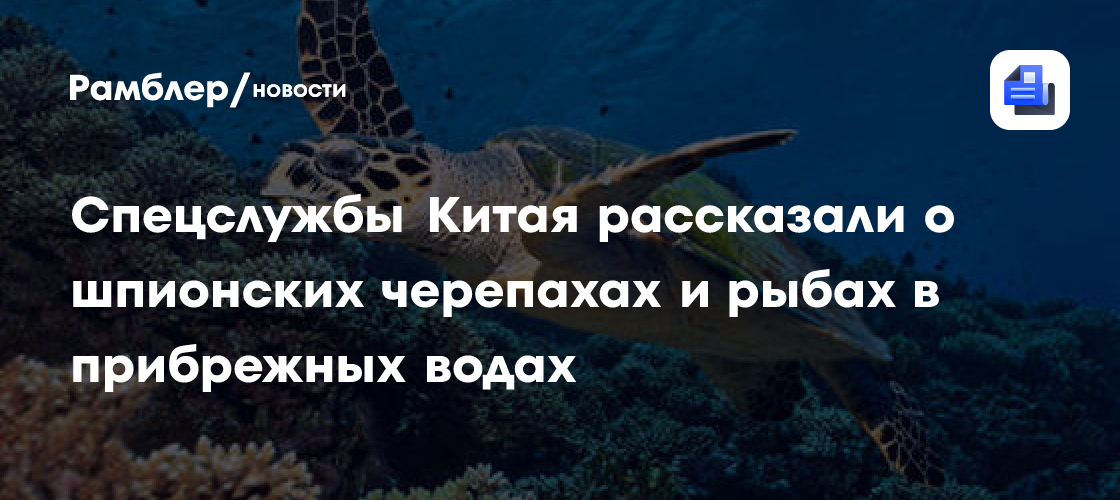 Спецслужбы Китая рассказали о шпионских черепахах и рыбах в прибрежных водах