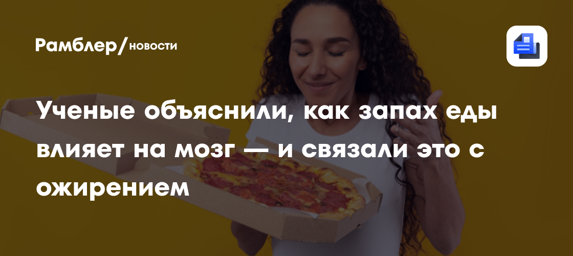 Ученые объяснили, как запах еды влияет на мозг — и связали это с ожирением