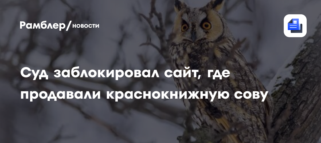 Суд заблокировал сайт, где продавали краснокнижную сову