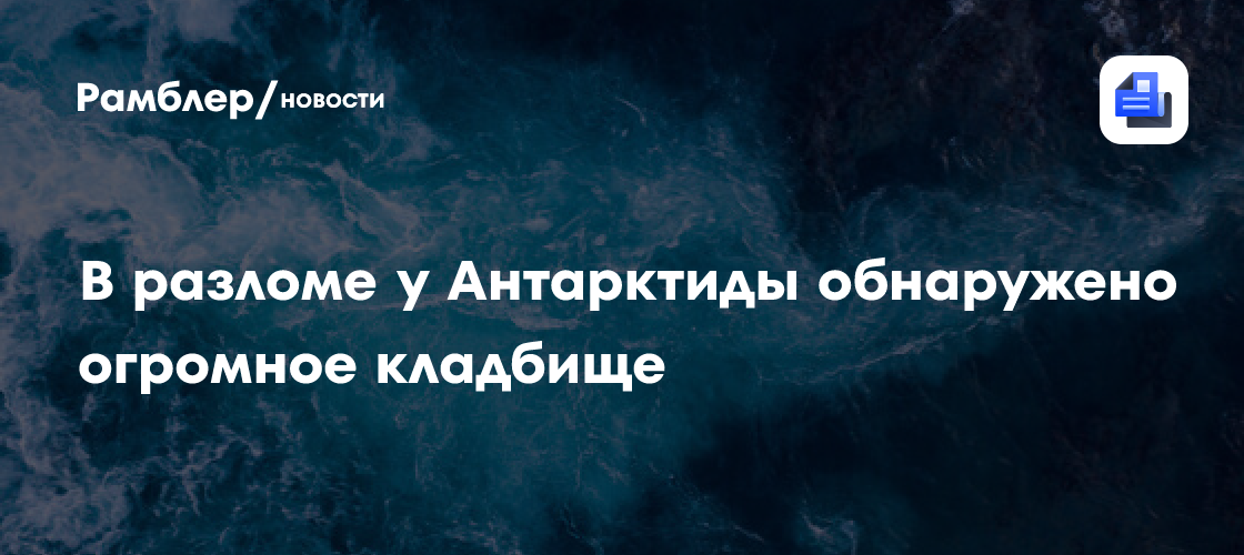 Nature: в разломе у Антарктиды обнаружены останки почти 500 китов