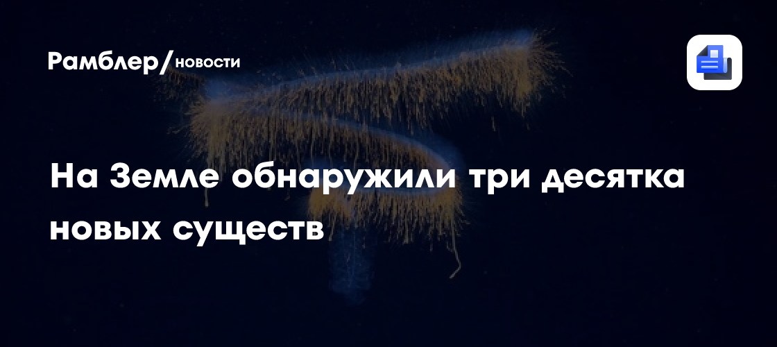 Три десятка новых существ. Ученые показали новые кадры глубоководной жизни