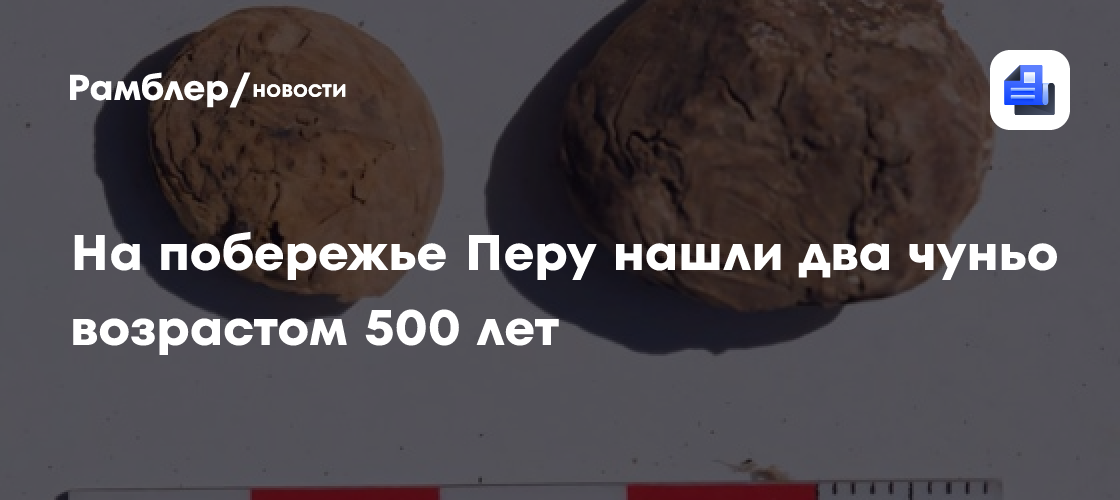 На побережье Перу нашли редкий обезвоженный картофель возрастом 500 лет