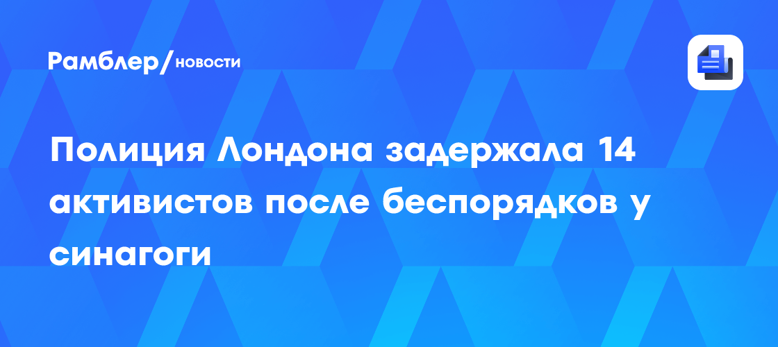 Полиция арестовала 14 человек после массовых беспорядков у синагоги