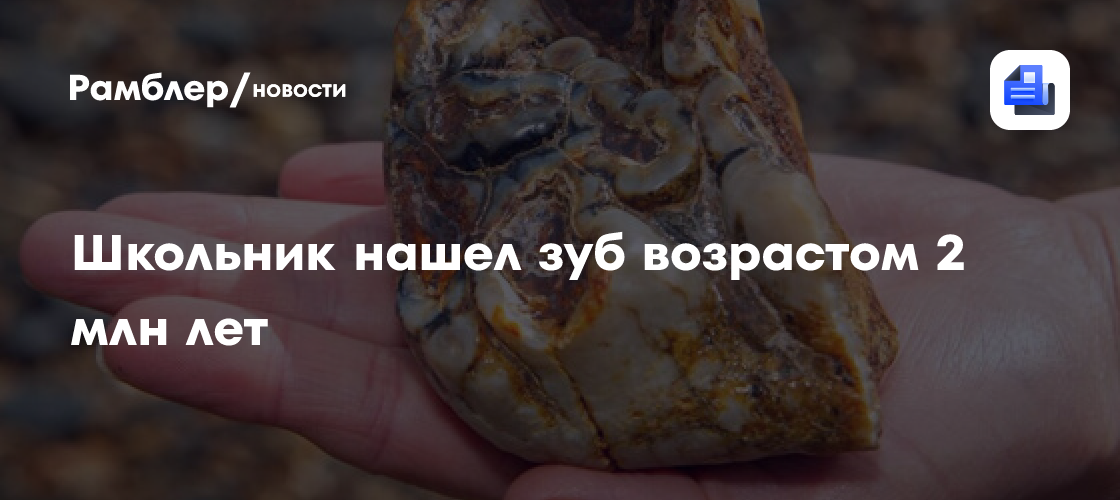 Британский школьник нашел зуб мастодонта возрастом 2 млн лет