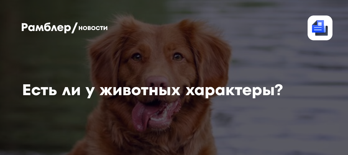 Есть ли у животных характеры?