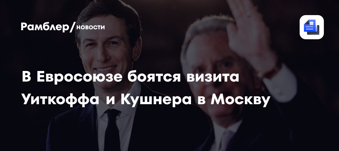 В Евросоюзе боятся визита Уиткоффа и Кушнера в Москву
