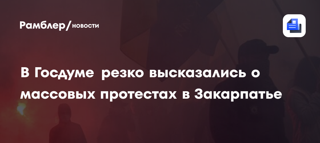 В Госдуме резко высказались о массовых протестах в Закарпатье