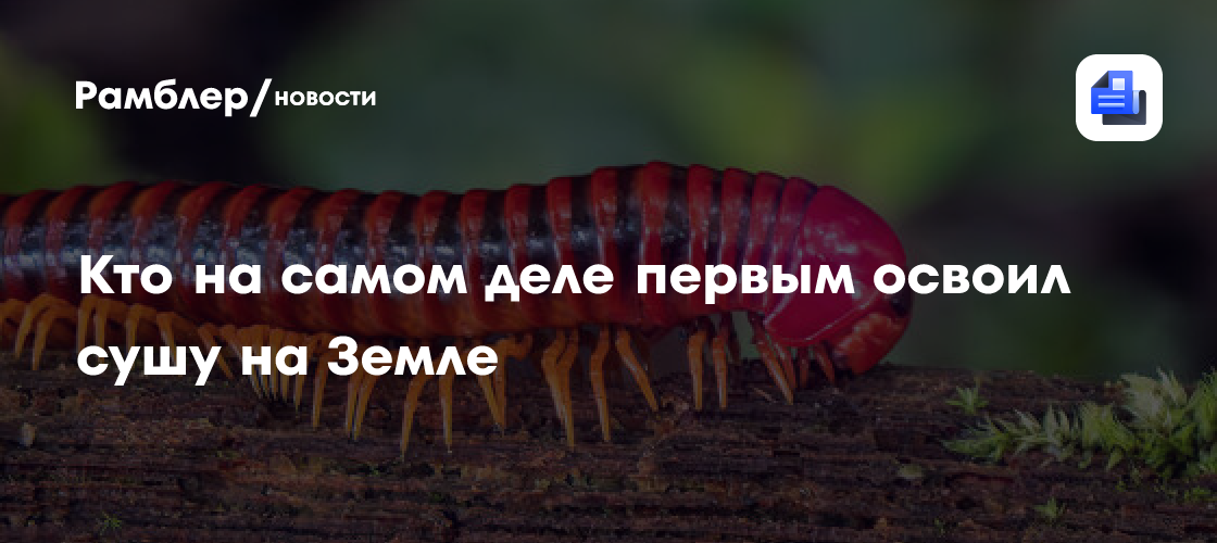 Ученых удивило то, кто на самом деле первым освоил сушу на Земле