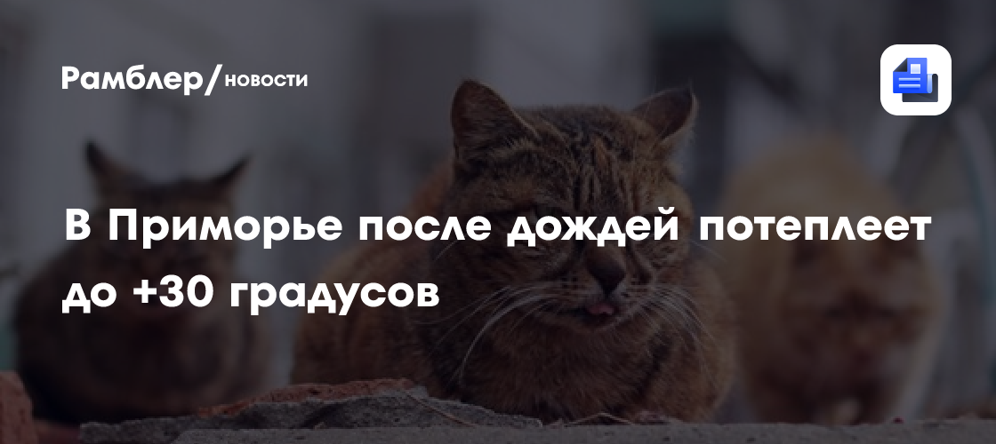 Жару ждать не приходится: какой будет погода в Москве до конца июня