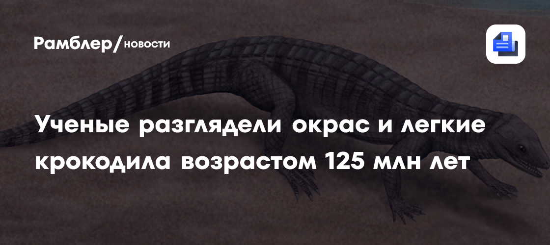 В Испании впервые разглядели окрас и легкие крокодила возрастом 125 млн лет