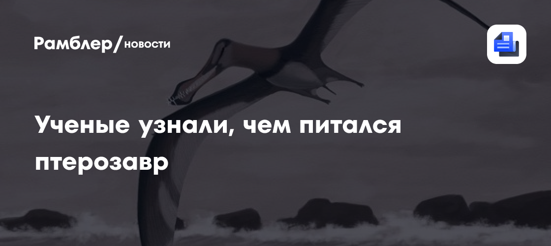 Ученые объяснили, почему так хорошо сохранилось найденное в Бразилии крыло птерозавра