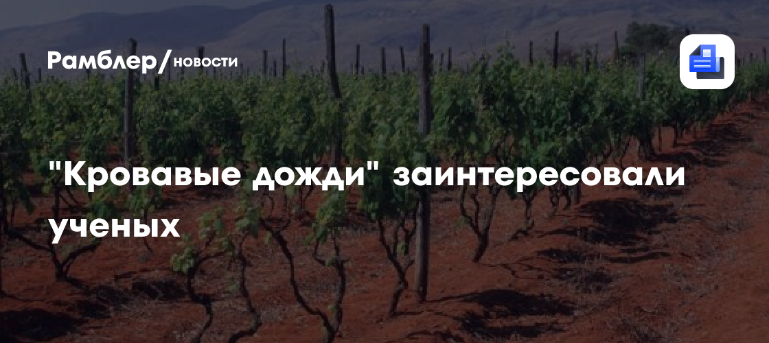 Ученые взялись за изучение влияния "кровавых дождей" на европейскую землю