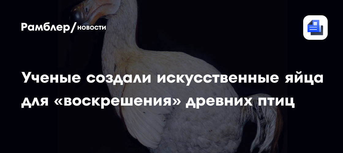 Ученые создали искусственные яйца для «воскрешения» древних птиц