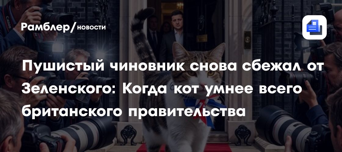 Пушистый чиновник снова сбежал от Зеленского: Когда кот умнее всего британского правительства