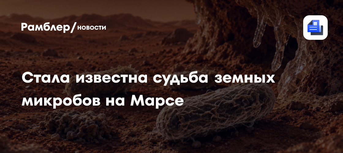 Земные микробы на Марсе усохнут, но выживут — показал эксперимент