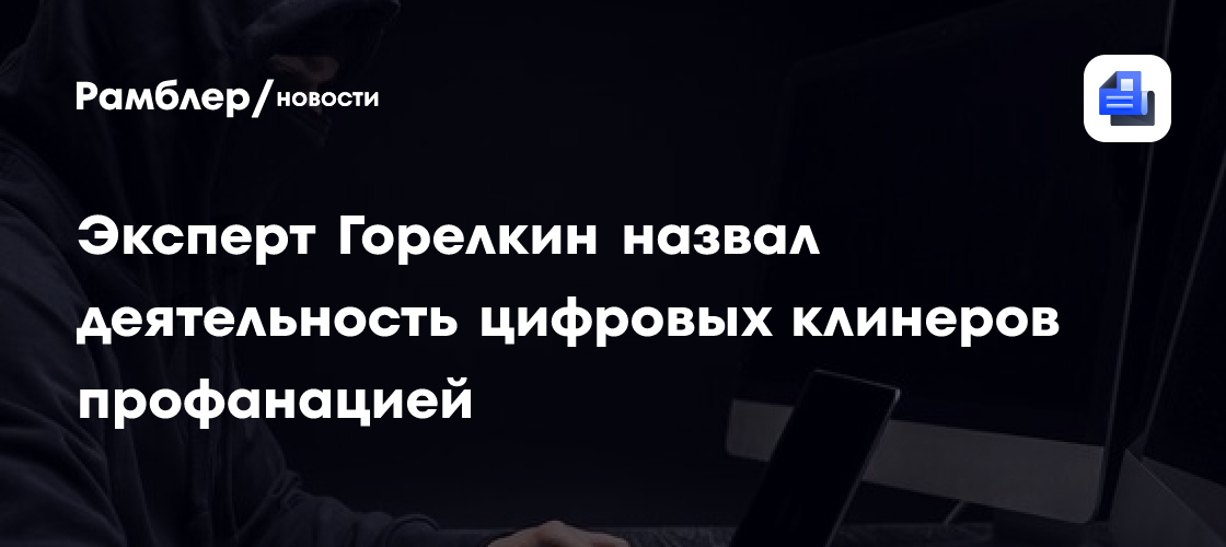 Эксперт Горелкин назвал деятельность цифровых клинеров профанацией