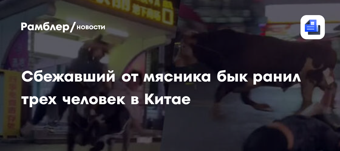 Сбежавший от мясника бык ранил трех человек в Китае