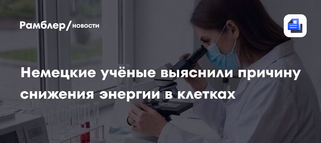 Немецкие учёные выяснили причину снижения энергии в клетках