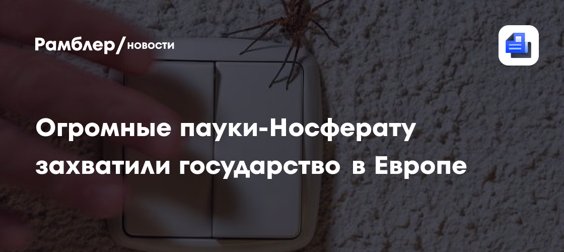 Огромные пауки-Носферату захватили государство в Европе