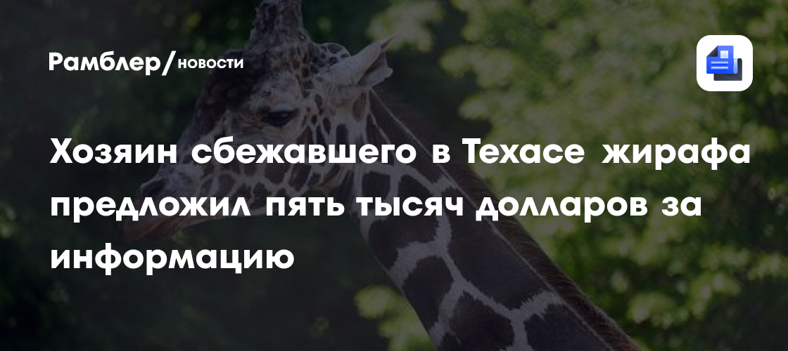 Хозяин сбежавшего в Техасе жирафа предложил пять тысяч долларов за информацию