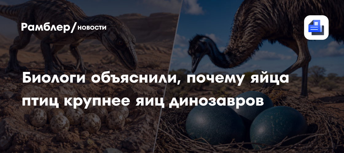 Биологи объяснили, почему яйца птиц крупнее яиц динозавров