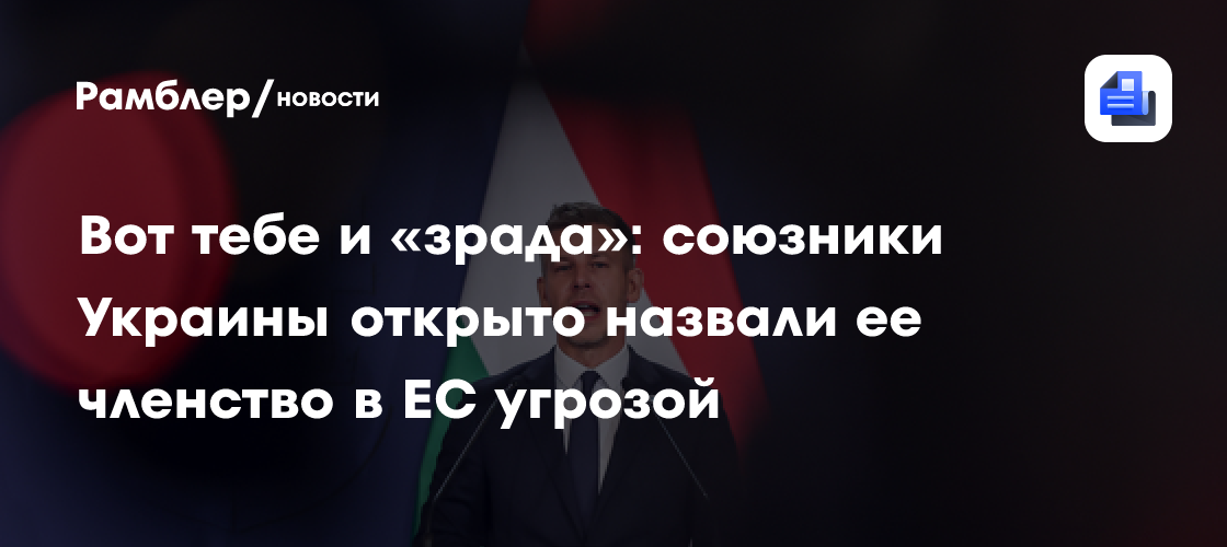 Вот тебе и «зрада»: союзники Украины открыто назвали её членство в ЕС угрозой