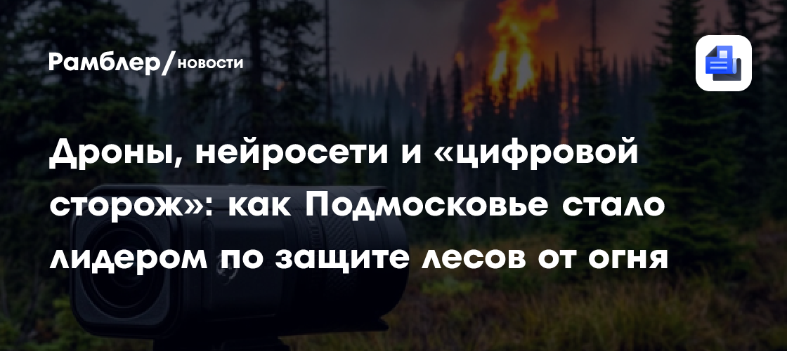 Дроны, нейросети и «цифровой сторож»: как Подмосковье стало лидером по защите лесов от огня