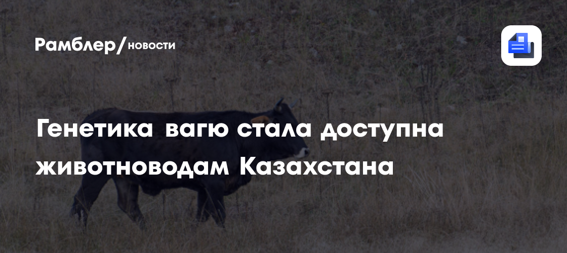Генетика вагю стала доступна животноводам Казахстана