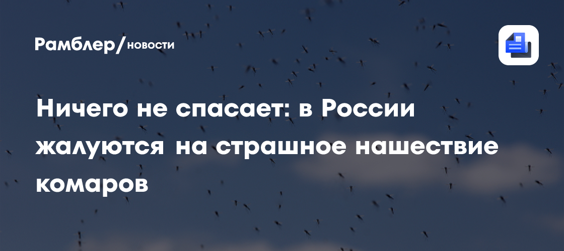 Ничего не спасает: в России жалуются на страшное нашествие комаров
