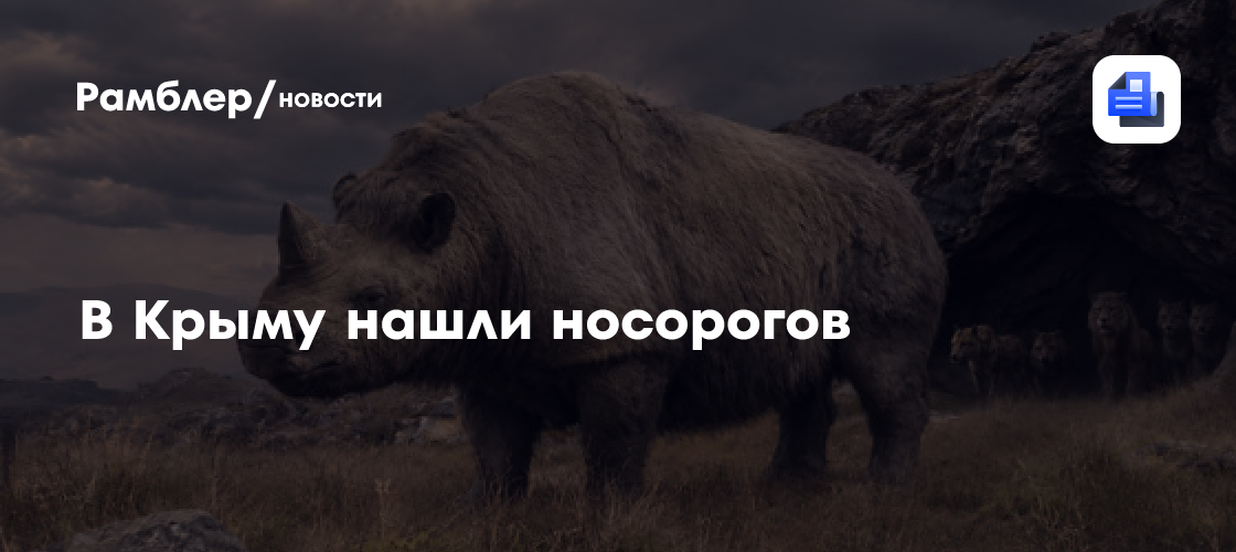 В Крыму палеонтологи нашли огромных древних носорогов