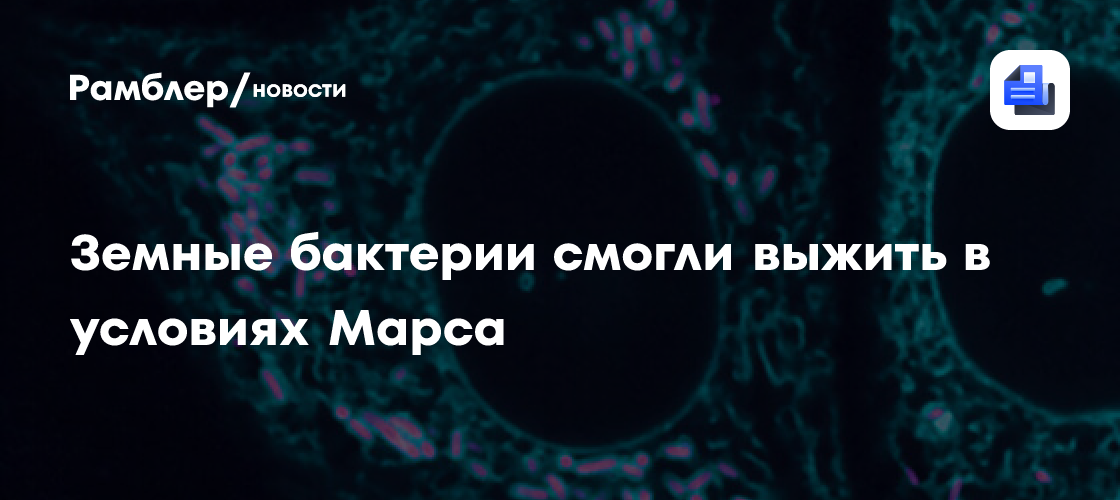 Science X: земные патогены оказались способны к выживанию в условиях Марса