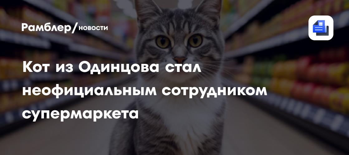 Кот из Одинцова стал неофициальным сотрудником супермаркета и вычисляет нарушителей