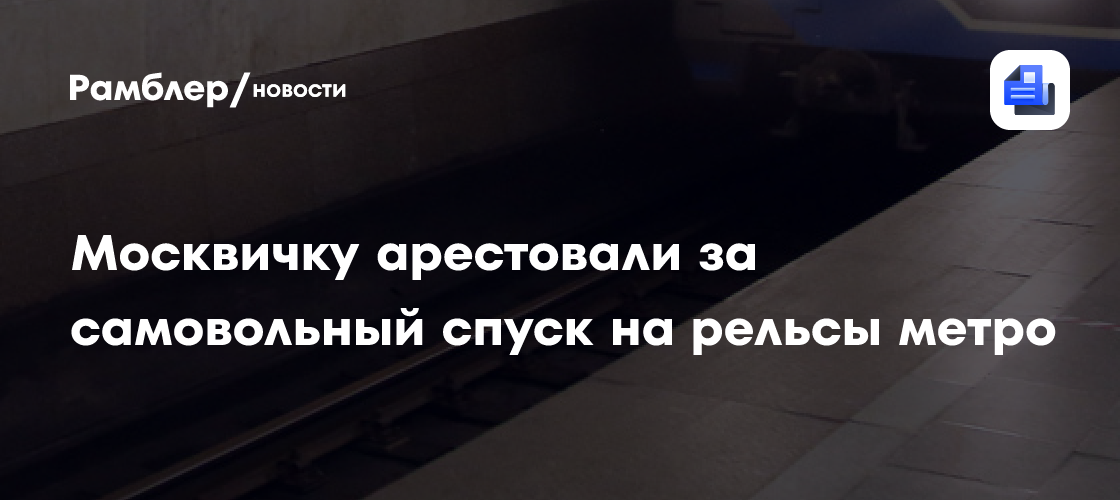 Москвичку арестовали за самовольный спуск на рельсы метро