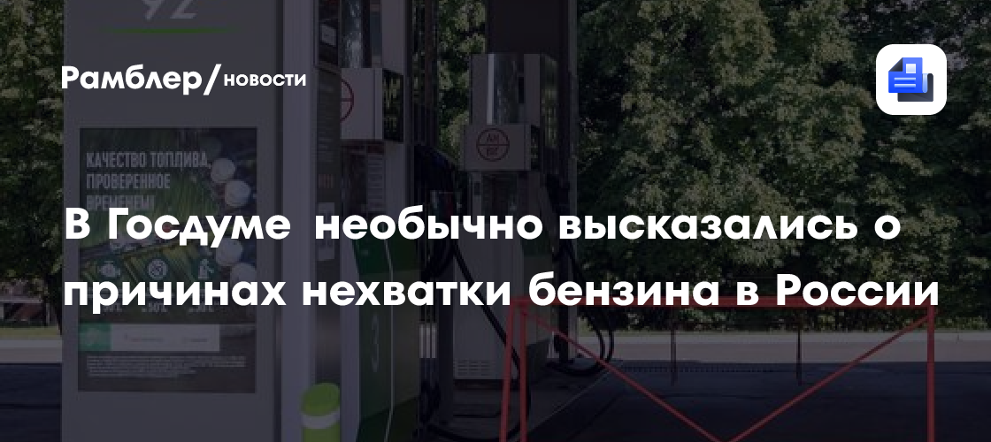 В Госдуме необычно высказались о причинах нехватки бензина в России