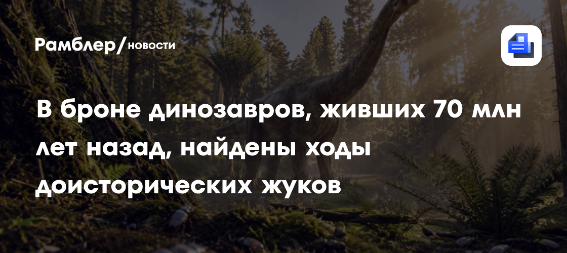 В броне динозавров, живших 70 млн лет назад, найдены ходы доисторических жуков
