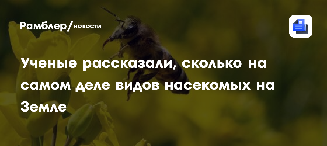 Сколько на самом деле видов насекомых на Земле, рассказали ученые