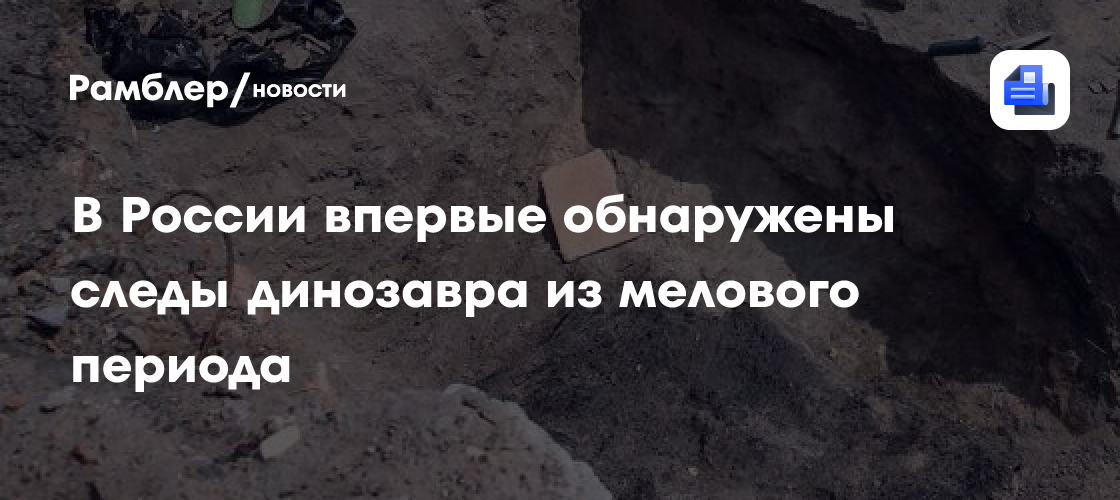 В России впервые нашли следы динозавра из аптского яруса нижнего мелового периода