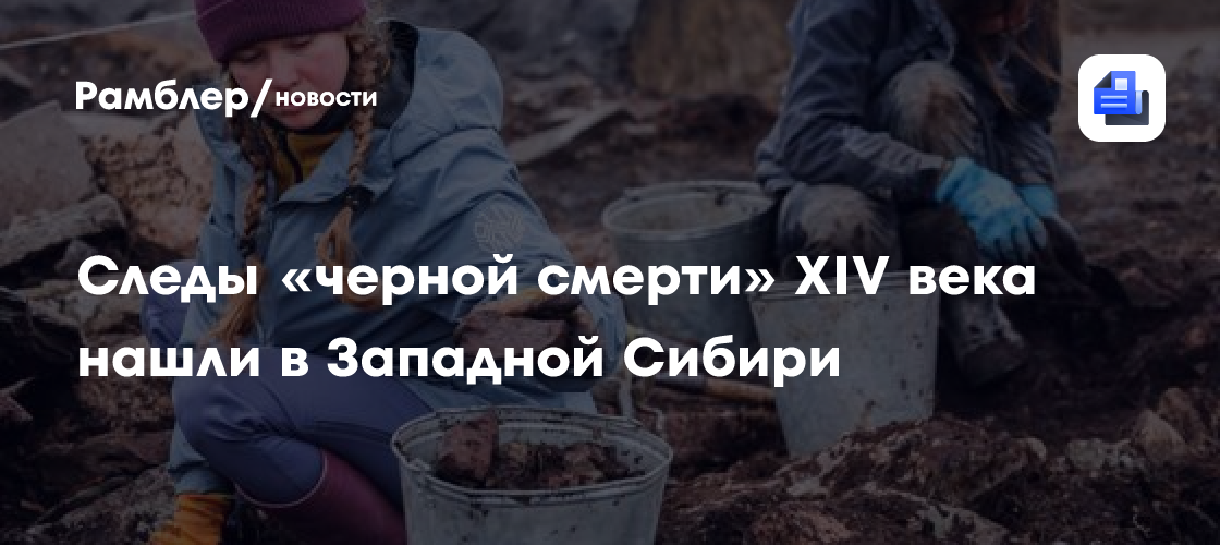 Следы черной смерти XIV века нашли ученые СО РАН в болотах Западной Сибири