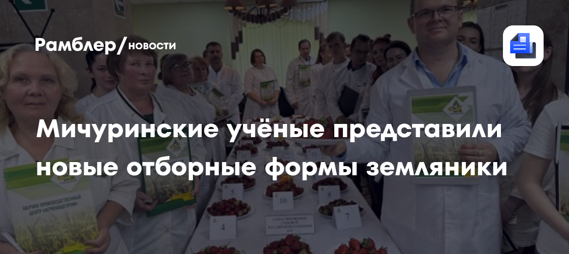 Мичуринские учёные представили новые отборные формы земляники
