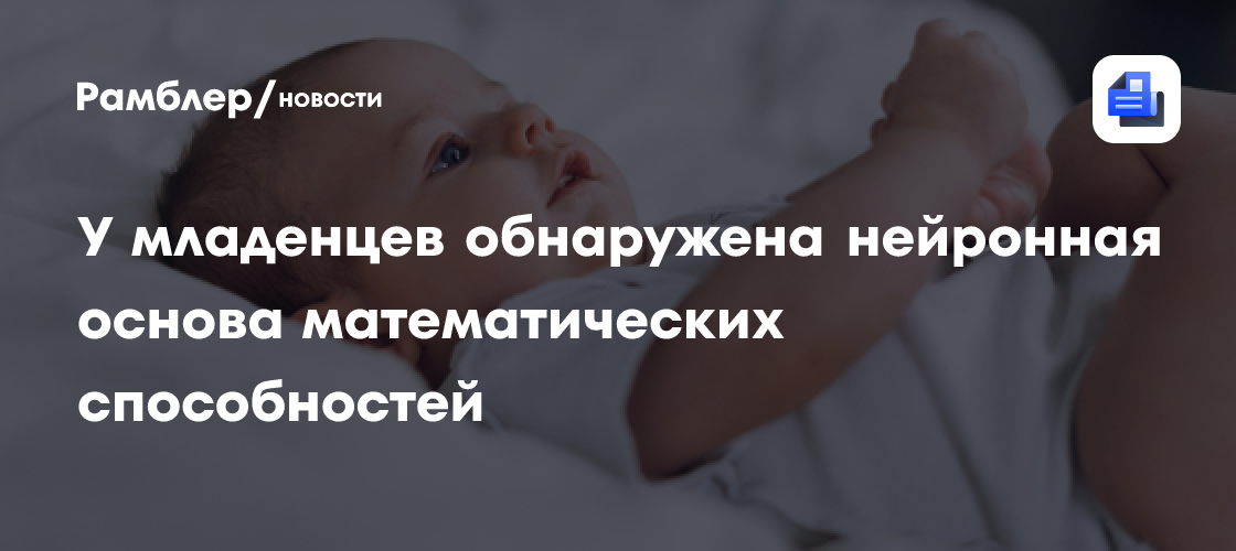 У новорожденных обнаружена нейронная основа математических способностей