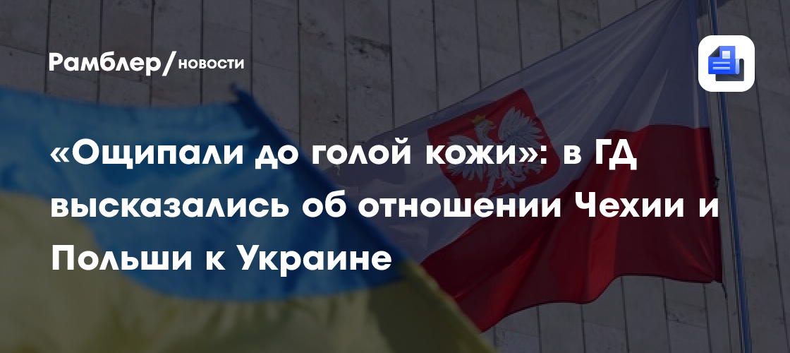 «Ощипали до голой кожи»: в ГД высказались об отношении Чехии и Польши к Украине