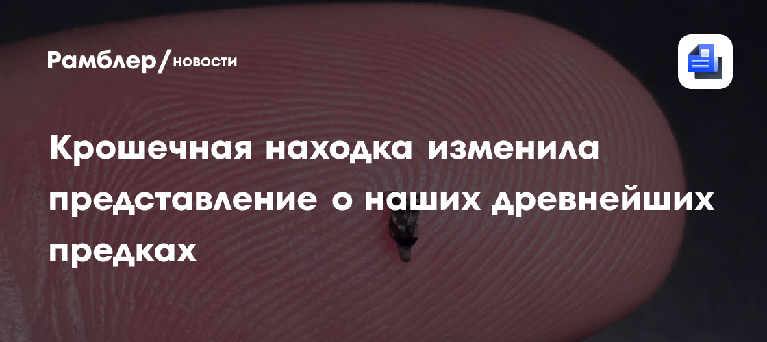 Крошечная находка полностью изменила представление о наших древнейших предка