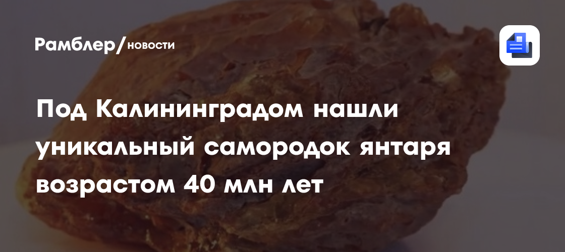 Уникальный самородок возрастом 40 млн лет из двух видов янтаря нашли под Калининградом