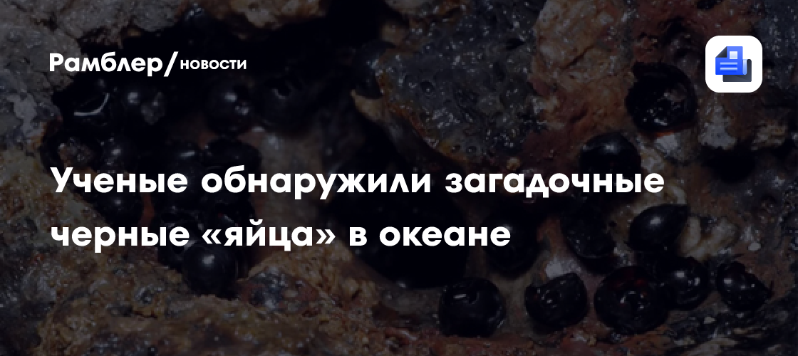 Ученые обнаружили загадочные черные «яйца» в океане