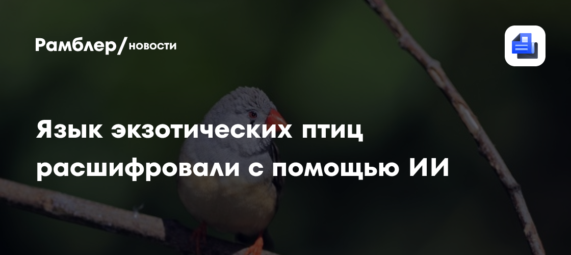 Доктор наук расшифровала язык экзотических птиц