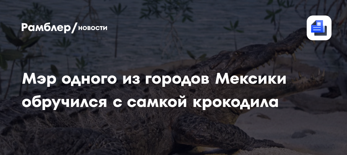 Мэр одного из городов Мексики обручился с самкой крокодила