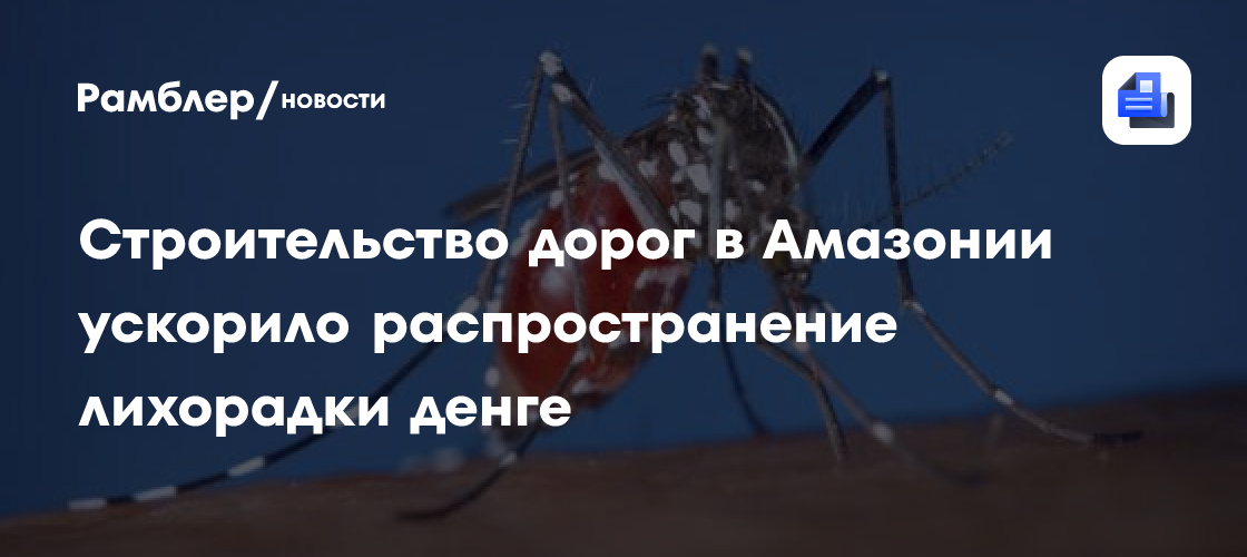 Строительство дорог в Амазонии ускорило распространение лихорадки денге