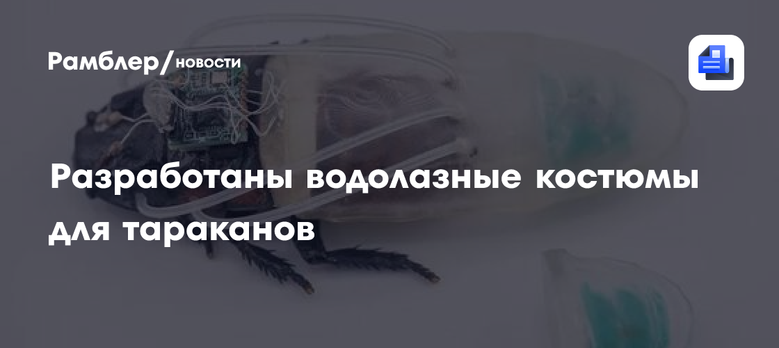 Разработаны водолазные костюмы для тараканов